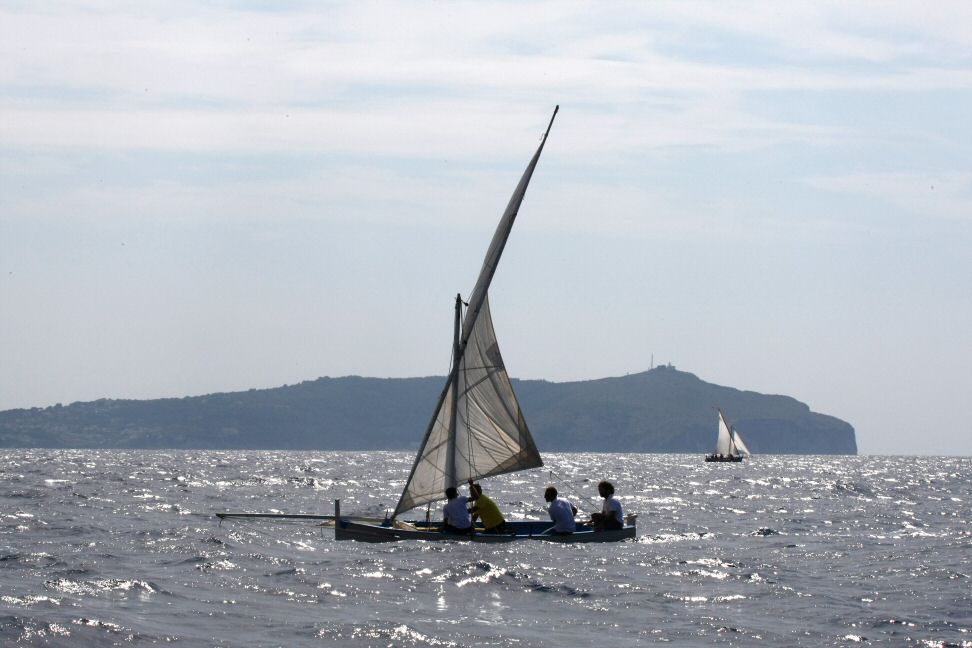 Pisciotta - Regata Vela Latina 05/09/2009